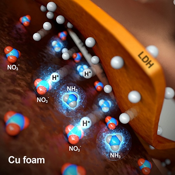  구리 금속 폼(Cu foam)-니켈-철 층상이중수산화물(LDH)을 이용한 질산염(NO₃-)으로부터 암모니아(NH₃) 생산 모식도(출처=카이스트)