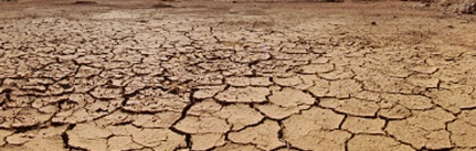 지구촌 기상이변으로 극심한 가뭄이 잦다.(출처=나무위키)