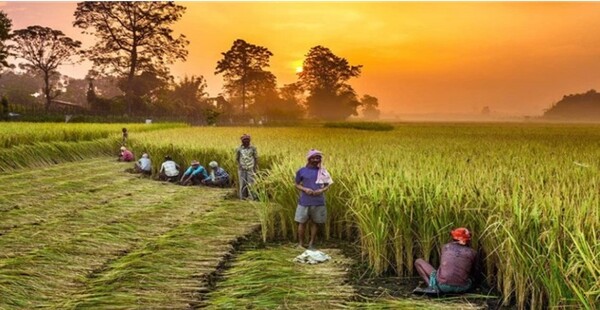  인도는 도농간 양극화가 극심하다.(출처=Bioenergy)