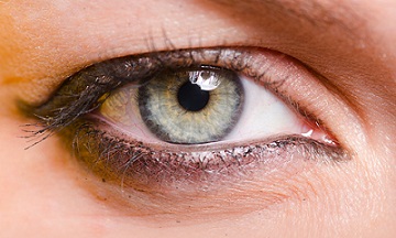 잔토필 카로티노이드’에는 눈건강에 도움주는 루테인 함유돼있는 것으로 파악됐다.