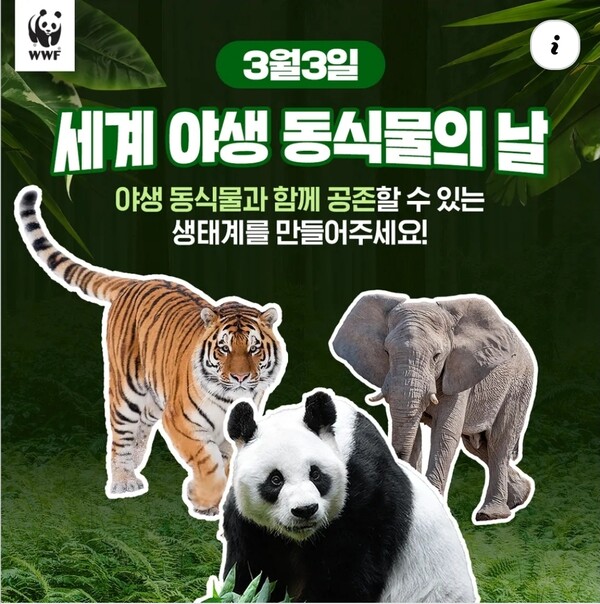 [동물복지 8] 세계 야생동식물의 날에 울리는 안마도의 눈물